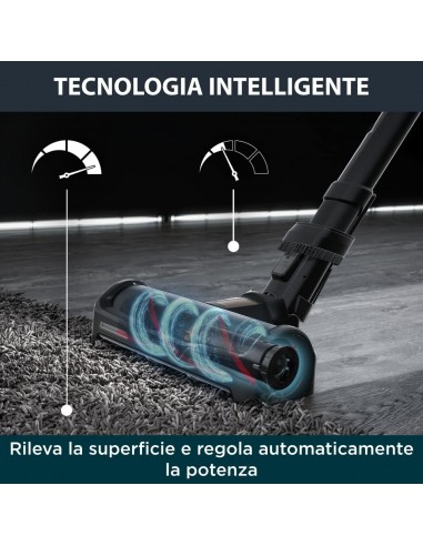 Rowenta RH99F1 X-FORCE FLEX 15.60...